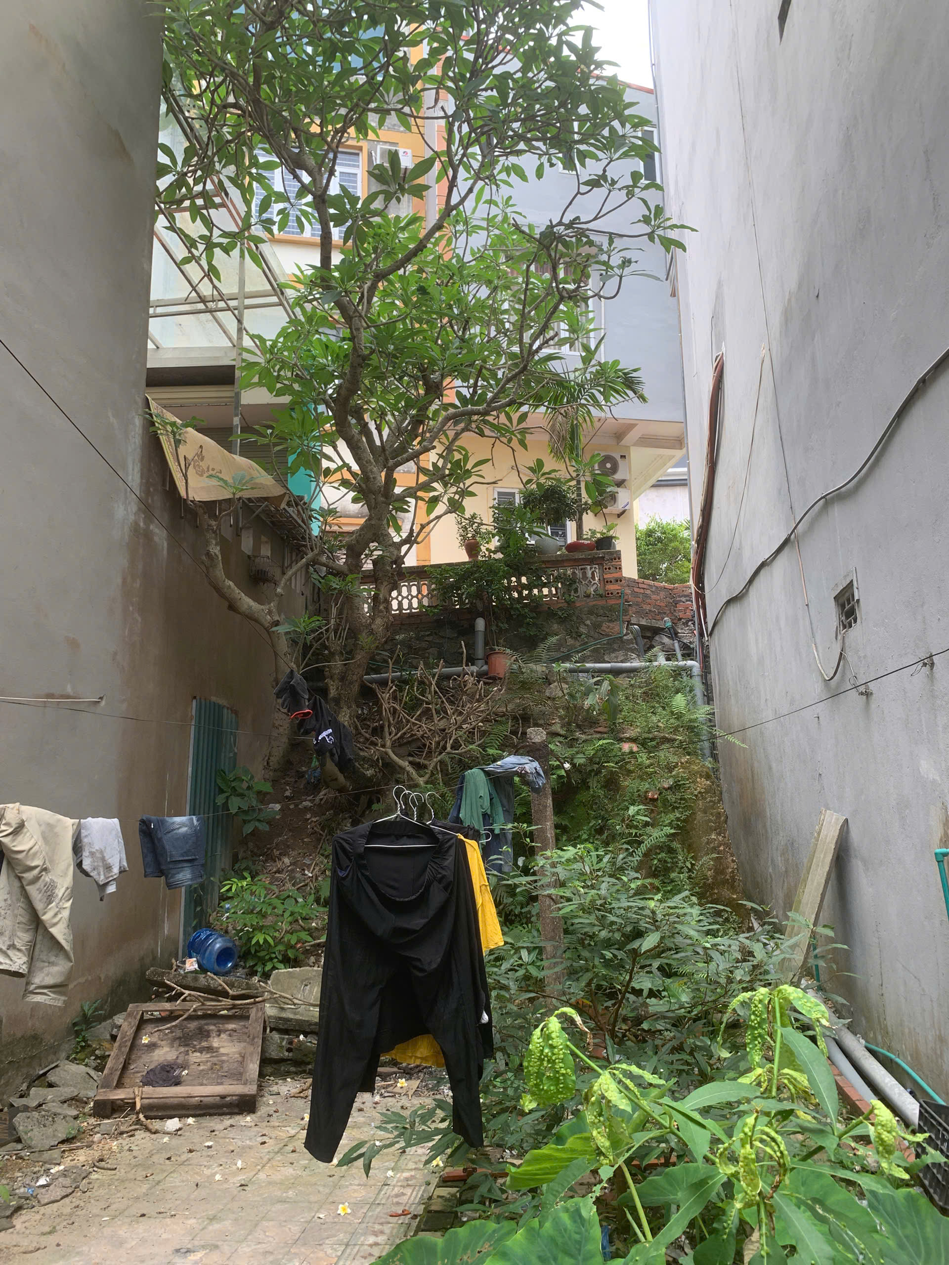 Đất nền Đồi Hương Trầm — ảnh 2